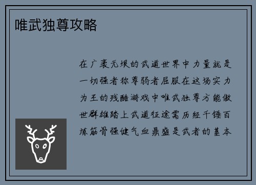 唯武独尊攻略